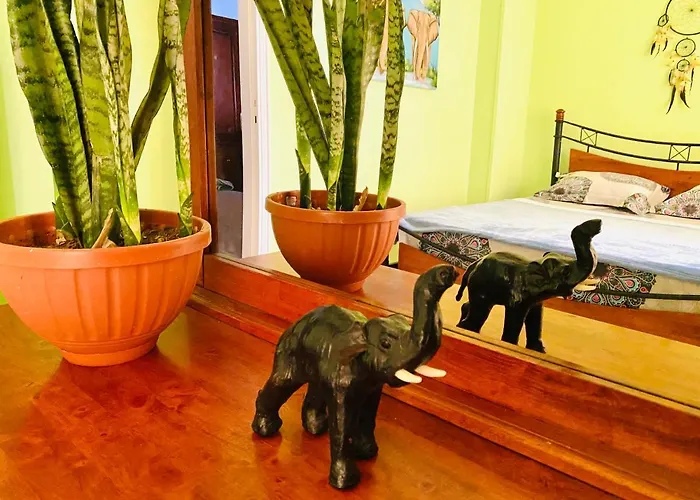 شقة Elephant House With Sea View *